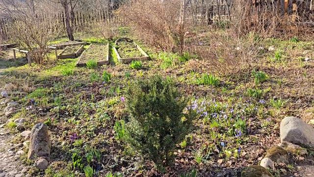Лоси у деревни блогерские заморочки и красивый вечер