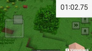 спидран по майнкрафту