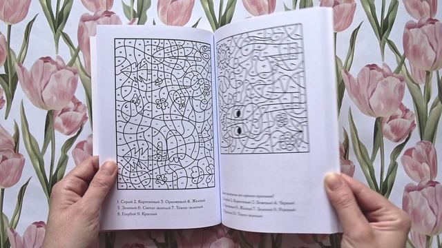 Раскраска по номерам 2.0