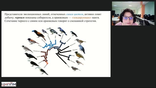 14.04.2026 Внеурочная деятельность школьников по географии