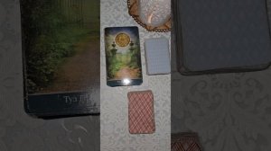 Какой вид предсказаний самый правдивый?