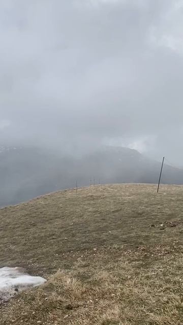 Цветущая Мачерата в тумане