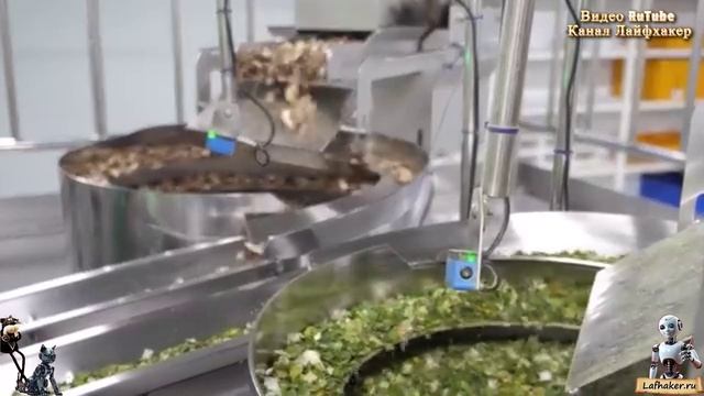 Откройте для себя магию корейского рамена: Путешествие на фабрику лапши! 🍜