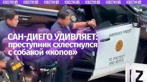 Порезал парковщика и палкой избил собаку копов: эпичное задержание преступника в Сан-Диего