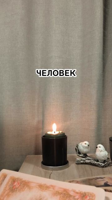 ✔️☀️ Понимает, что не сможет сейчас финансово и морально потянуть Вас ✔️#таро #таролог #раскладнабуд