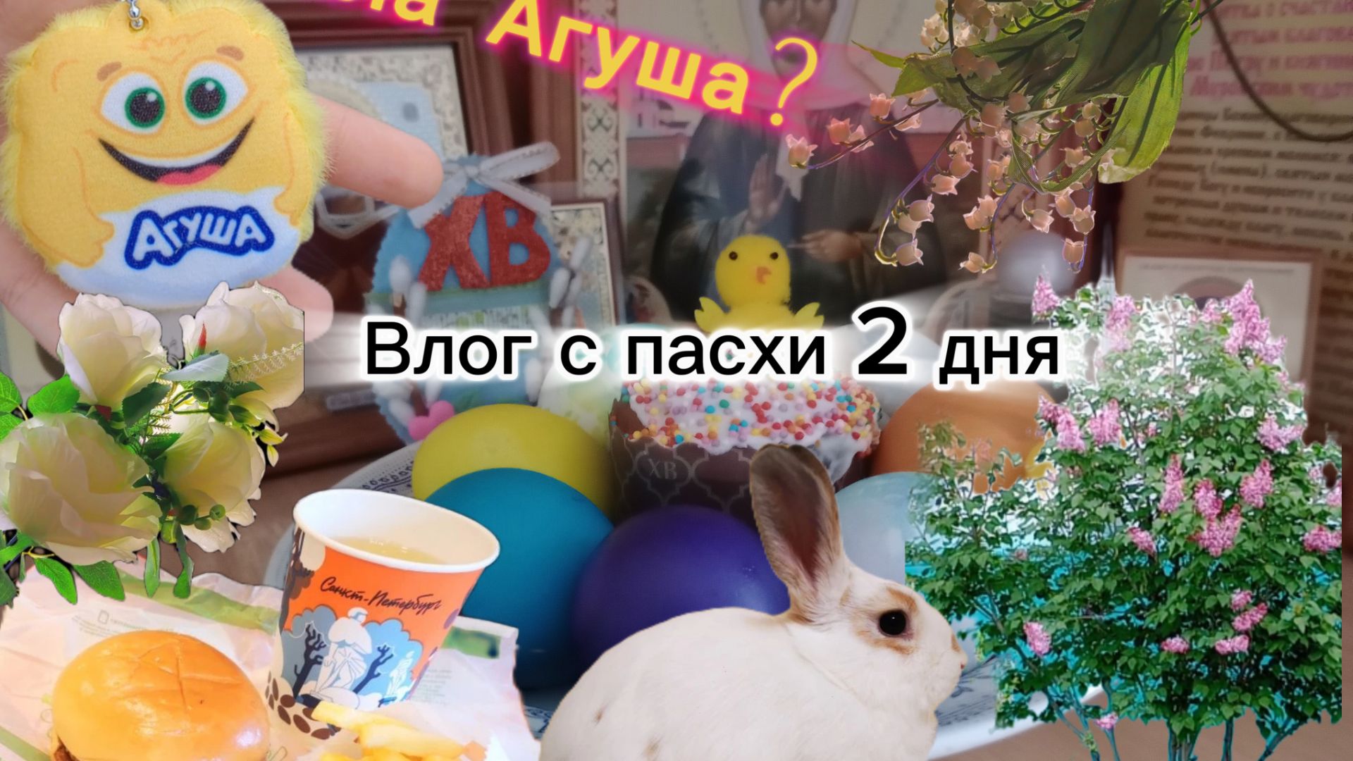 Влог 2 дня ☺️🐾