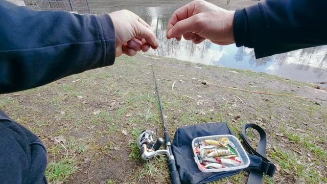 Прогулка на пруду у дома со спиннингом.