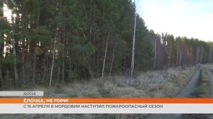 С 15 апреля в Мордовии наступил пожароопасный сезон