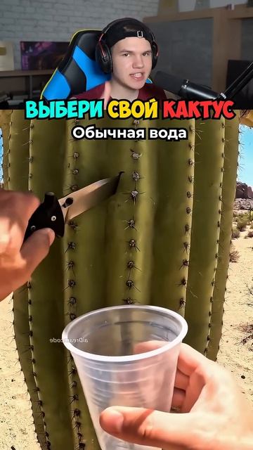 Выбери Себе Кактус! shorts шортс челлендж тест интересно