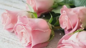 А дни летят. Исполняет Елена Шевченко