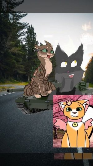 за Молню ☝️