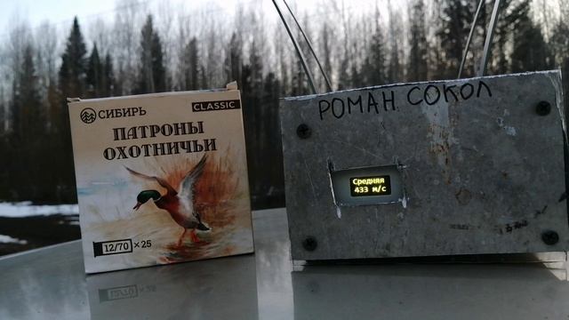 Тест патронов Сибирь CLASSIC 32г.