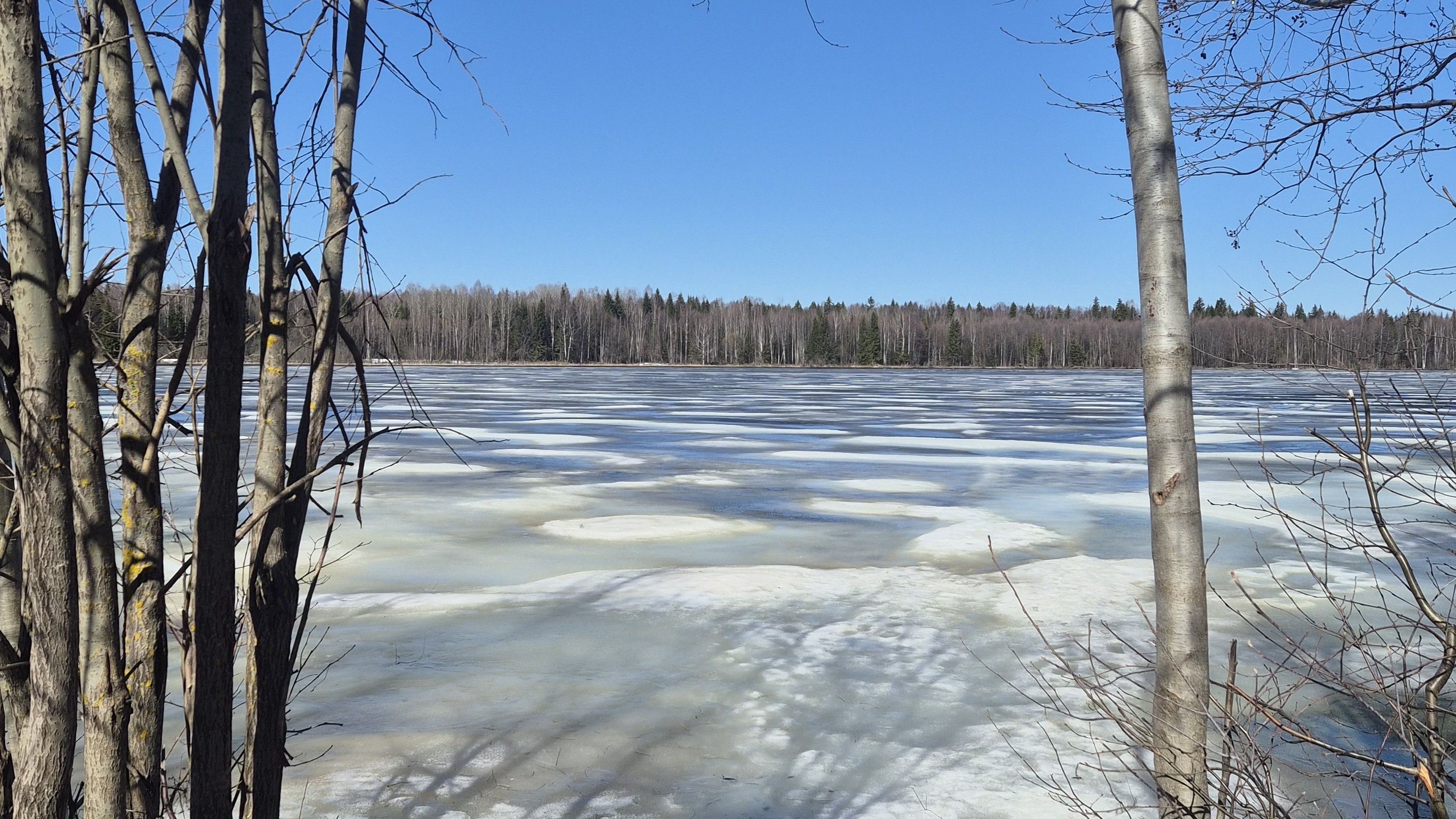 Выбираем парфюм! Парфюмерная лотерея ♥️ 5 ароматов на весну! БЮДЖЕТНАЯ ПАРФЮМЕРИЯ!