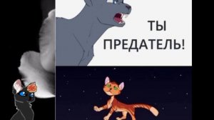 я читаю мемы про котов воителей