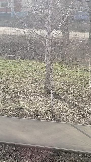 Погода 14.04.26