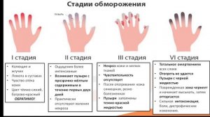 Лекция 15.2. Отморожения