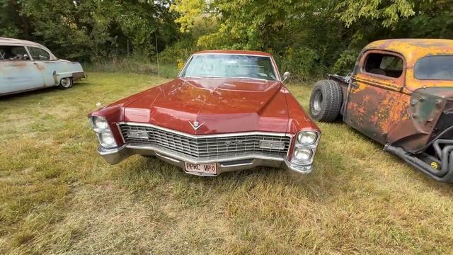 ПОЛНЫЙ ПРОХОЖДЕННЫЙ РЕЖИМ | БЕЗУМНЫЕ КРЫСОЕДЫ 🔥 Выставка крысоедов, Психологический салон Silo