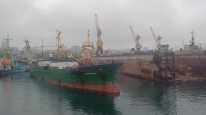 🛳"ВОСТОК РИФЕР" ПЕРЕГРУЗЧИК ОТХОДИТ ОТ ПОРТА ДИОМИД ВО ВЛАДИВОСТОКЕ 🤩🤩 #ПЕРЕГРУЗЧИК #порт