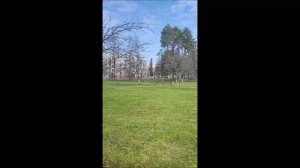 Весна в Зеленогорске