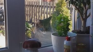 Пол месяца прошло. Новый день!