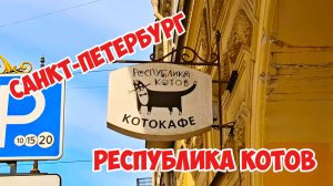 Республика Котов, Санк-Петербург