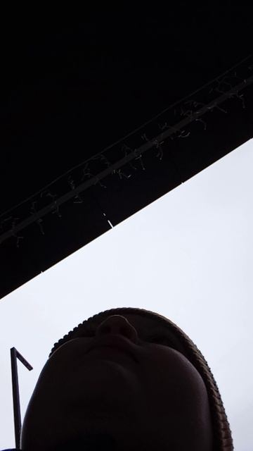 VID_20260415_133345.mp4