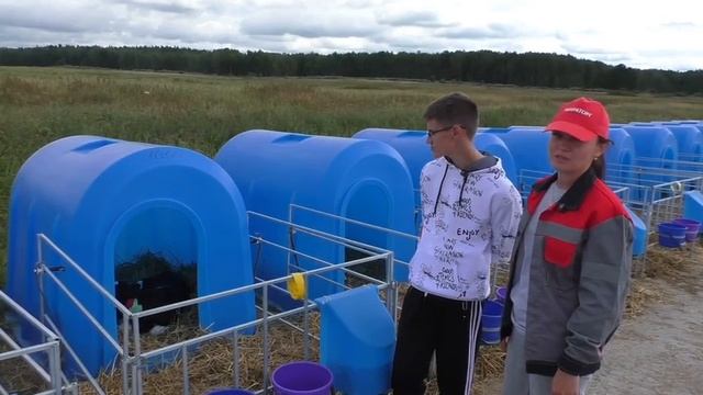 Видеоурок по теме 