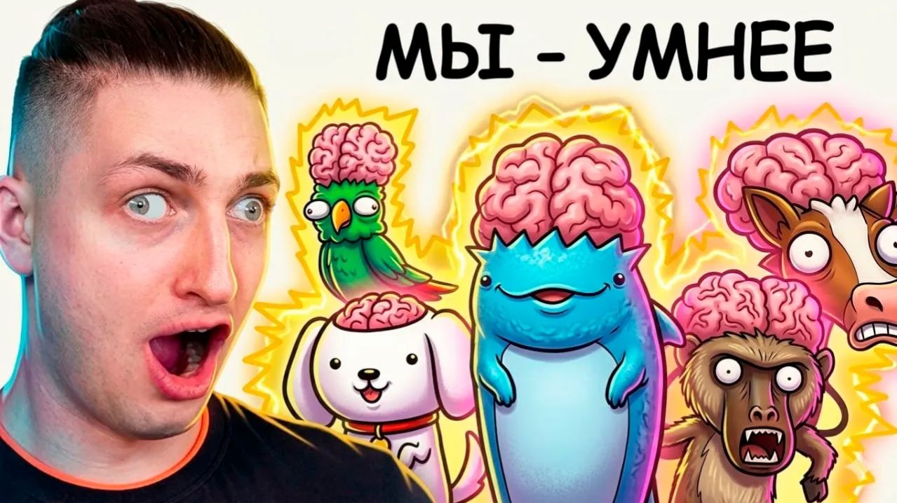 Животные с более высоким IQ, чем у нас - реакция Градуса и Вазачки