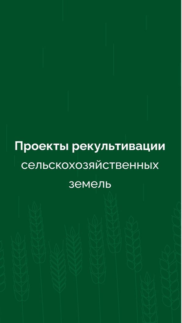 В Красноярском крае завершили масштабный проект по восстановлению нарушенных земель
