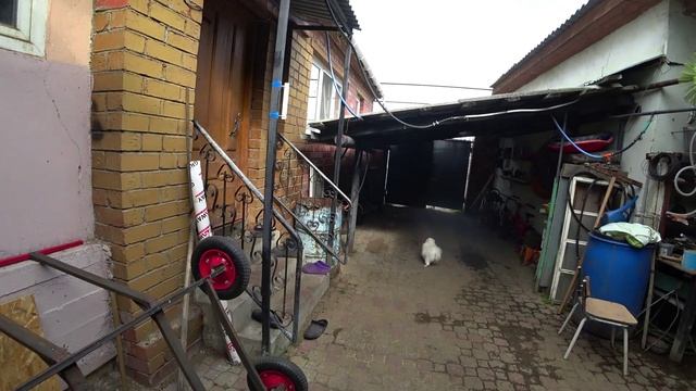 Влог от 28.07.2022