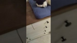 обзор на комнату Для Окси ☺