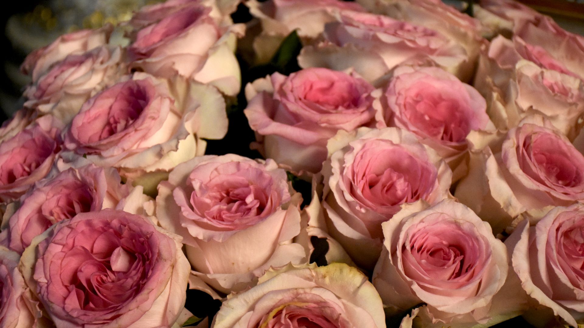 Храни себя от зла!