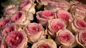 Храни себя от зла!