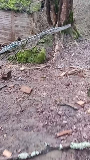 прогулка заброшенный лагерь