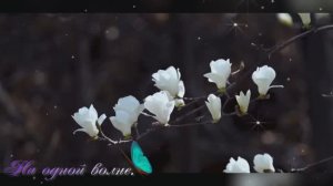 На одной волне.