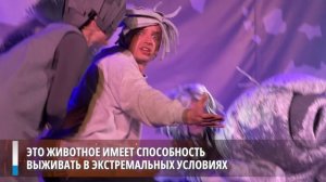 В Нижнем Тагиле поставили спектакль о микроскопических супергероях