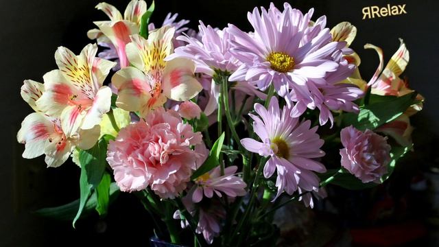 Быть тем, кто ты есть ГЛАВА √9, Шри Рамана Махарши.