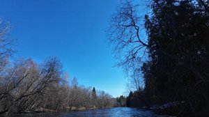 Река Комёла - 15.04.2026