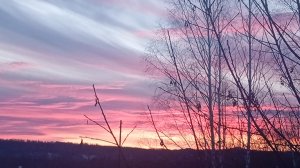 Жизнь день за днем: отлично повязала🌞