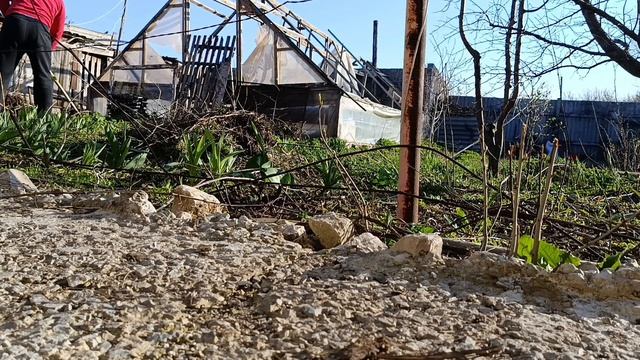 Продолжаю уборку во дворе