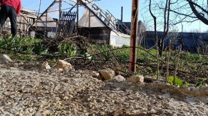 Продолжаю уборку во дворе