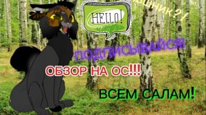ЧТО? Я КВШНИК?! Обзор на мою ОС