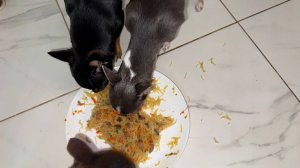 Пришло время плотно подкрепиться и потом уж веселиться.