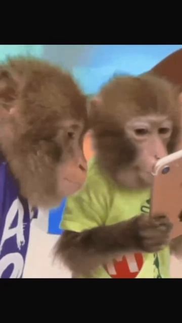 артикул в описании 👇🏻