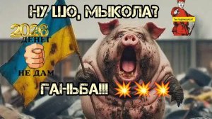 НУ ШО, МЫКОЛА??? ГАНЬБА!!! 💥💥💥