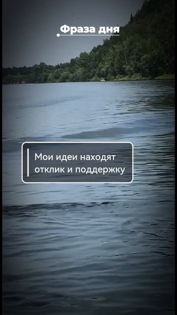 Фраза дня: мои идеи находят отклик и поддержку