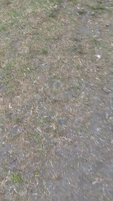 иду домой а тут...