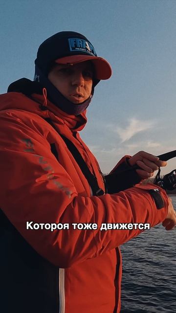 Техника двойного подброса и особенность реакции судака🤓Это интересно знать!  #teammida