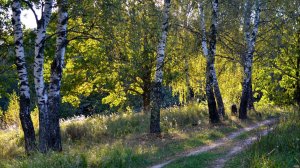 Куда бежишь тропинка милая. Поёт Валентина Дробышева