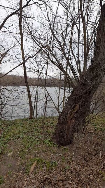 Ростов-на-Дону. Зоопарк. Птицы.